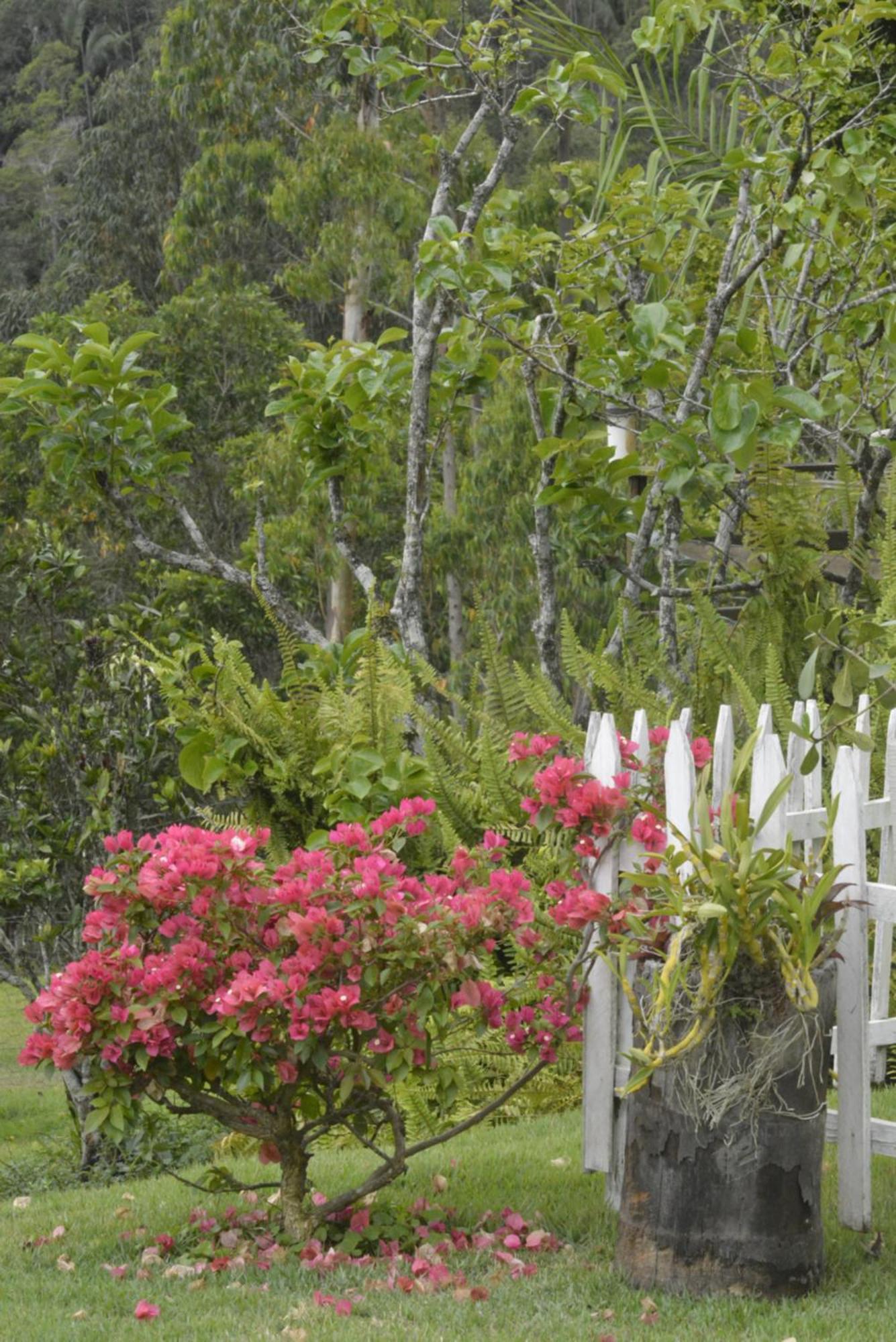 Sitio Juara Bed and Breakfast Santa Teresa  Exteriör bild